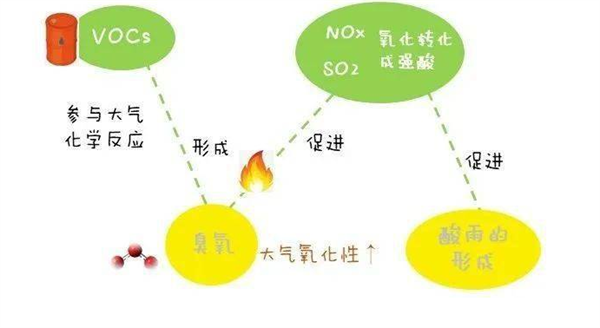 大气有机物浓缩采样方法